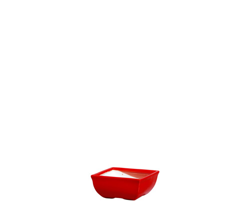 VASO QUAD.CURVADO BONSAI CHERRY